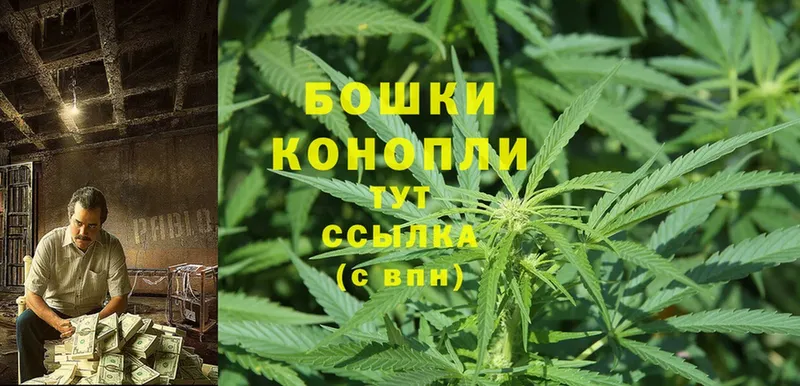 где можно купить   это клад  Каннабис THC 21%  Саранск 